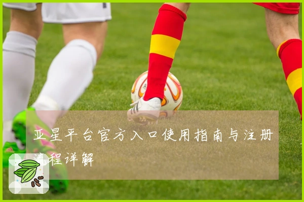亚星平台官方入口使用指南与注册流程详解