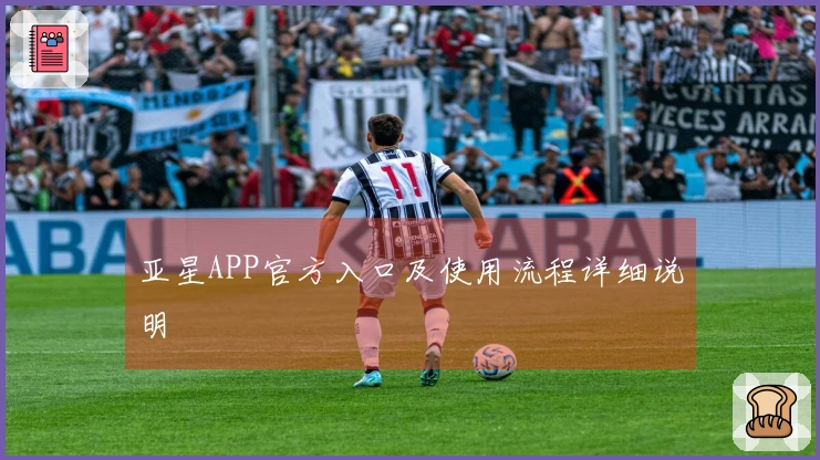 亚星APP官方入口及使用流程详细说明