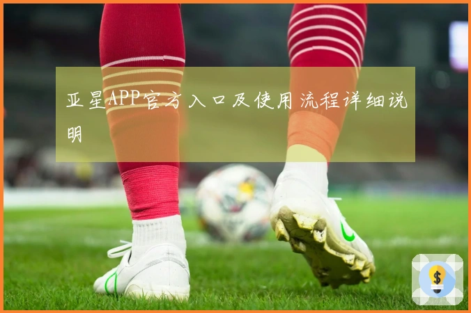 亚星APP官方入口及使用流程详细说明