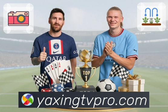 亚星官网 客户端图